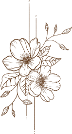 footer-illus