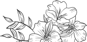 footer-illus